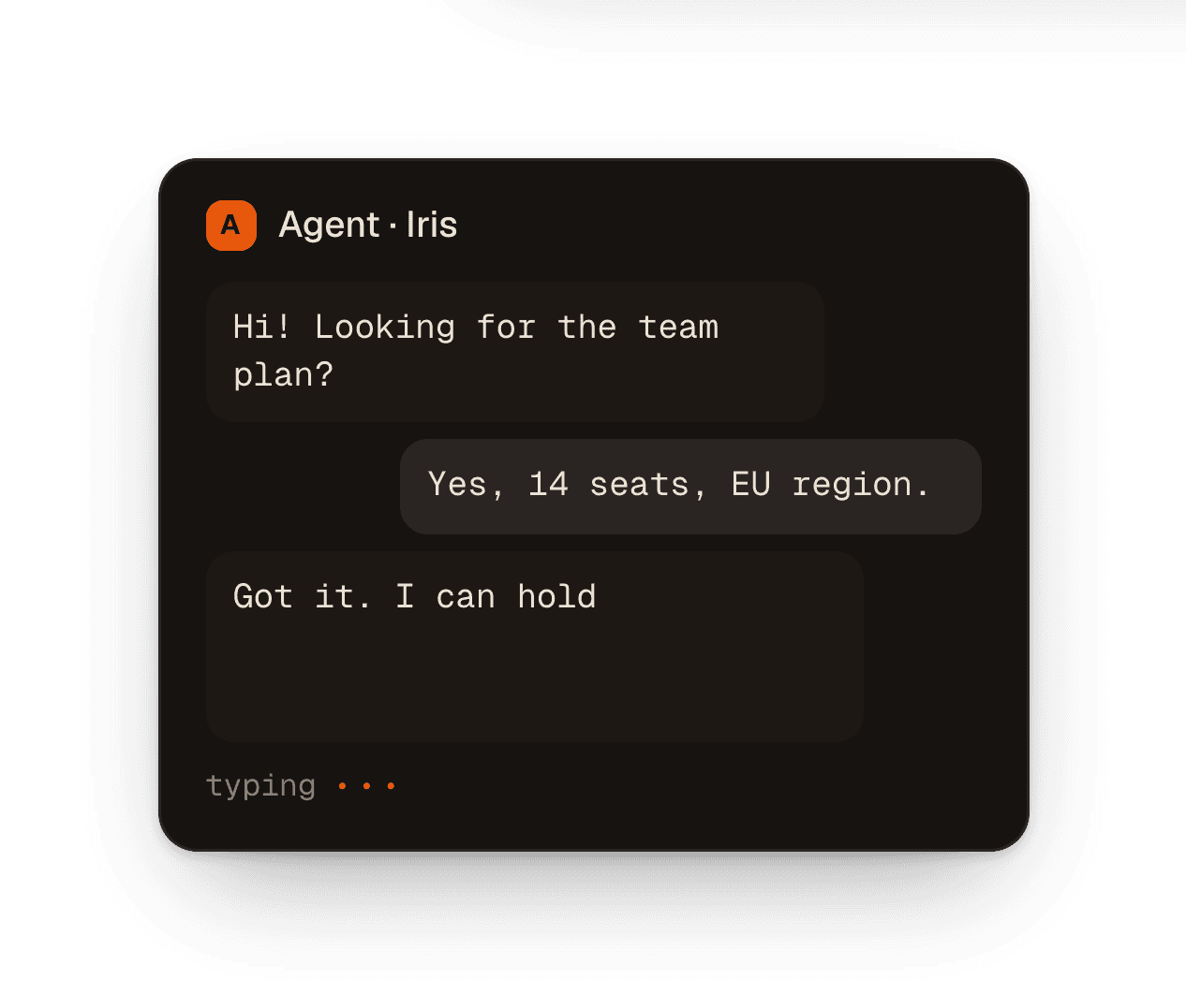 An AI support agent answering a customer about team plan seats in chat.